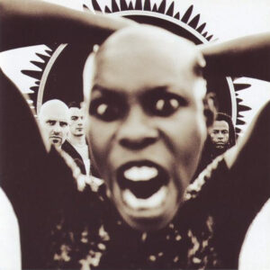 Cd - Skunk Anansie - Stoosh
