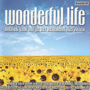 Cd - Wonderful Life