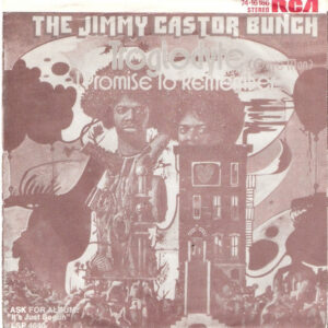 Single - The Jimmy Castor Bunch - Troglodyte (Cave Man)