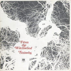 Lp - Strawbs - From The Witchwood