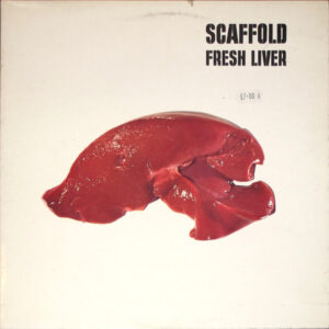 Lp - Scaffold - Fresh Liver