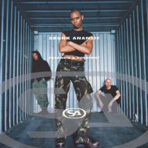 Cd - Skunk Anansie - Paranoid & Sunburnt