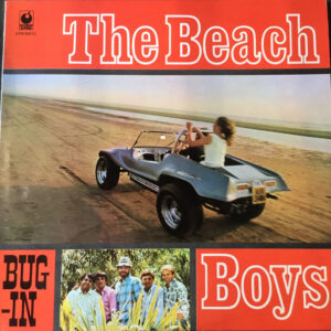 Lp - The Beach Boys - Bug-In