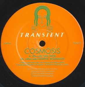 Lp - Cosmosis - Sanyacid / Morphic Resonance