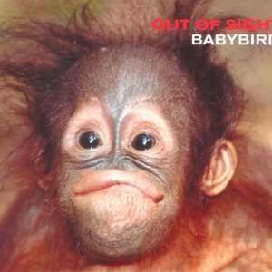 CD - Babybird - Out Of Sight