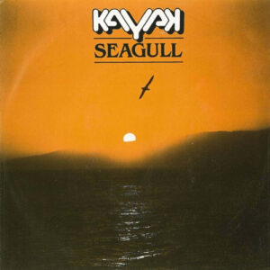 Single - Kayak - Seagull