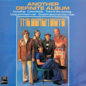 Lp - The Beach Boys - Another Definite Album