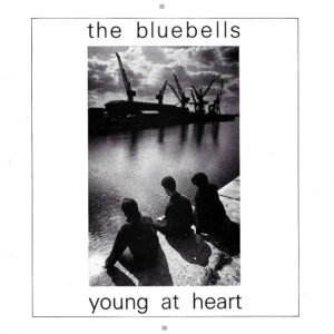 Single - The Bluebells - Young At Heart