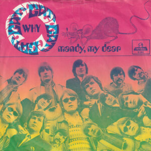 Single - The Cats - Why / Mandy, My Dear