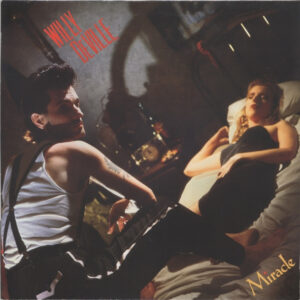 Lp - Willy DeVille - Miracle