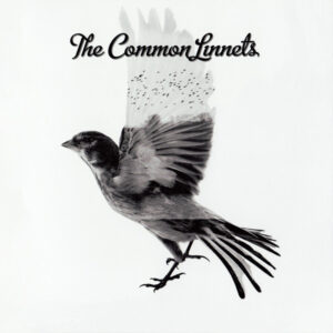 Cd - The Common Linnets - The Common Linnets