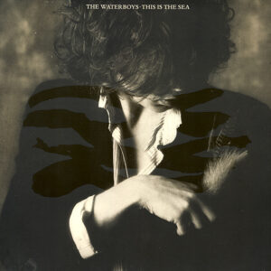 Lp - The Waterboys - This Is The Sea