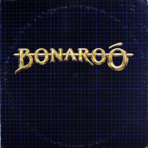 Lp - Bonaroo - Bonaroo