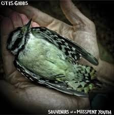 Cd - Otis Gibbs - Souvenirs Of A Misspent Youth