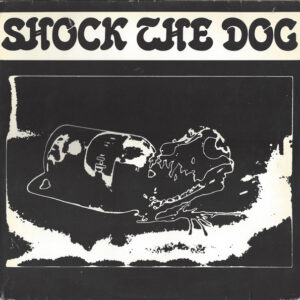 Lp - Peter Gabriel - Shock The Dog