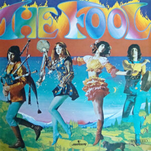 Lp - The Fool - The Fool (hoes beschadigd)