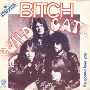 Single - Bitch - Wild Cat
