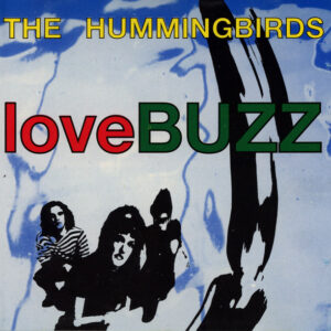 Lp - The Hummingbirds - loveBUZZ